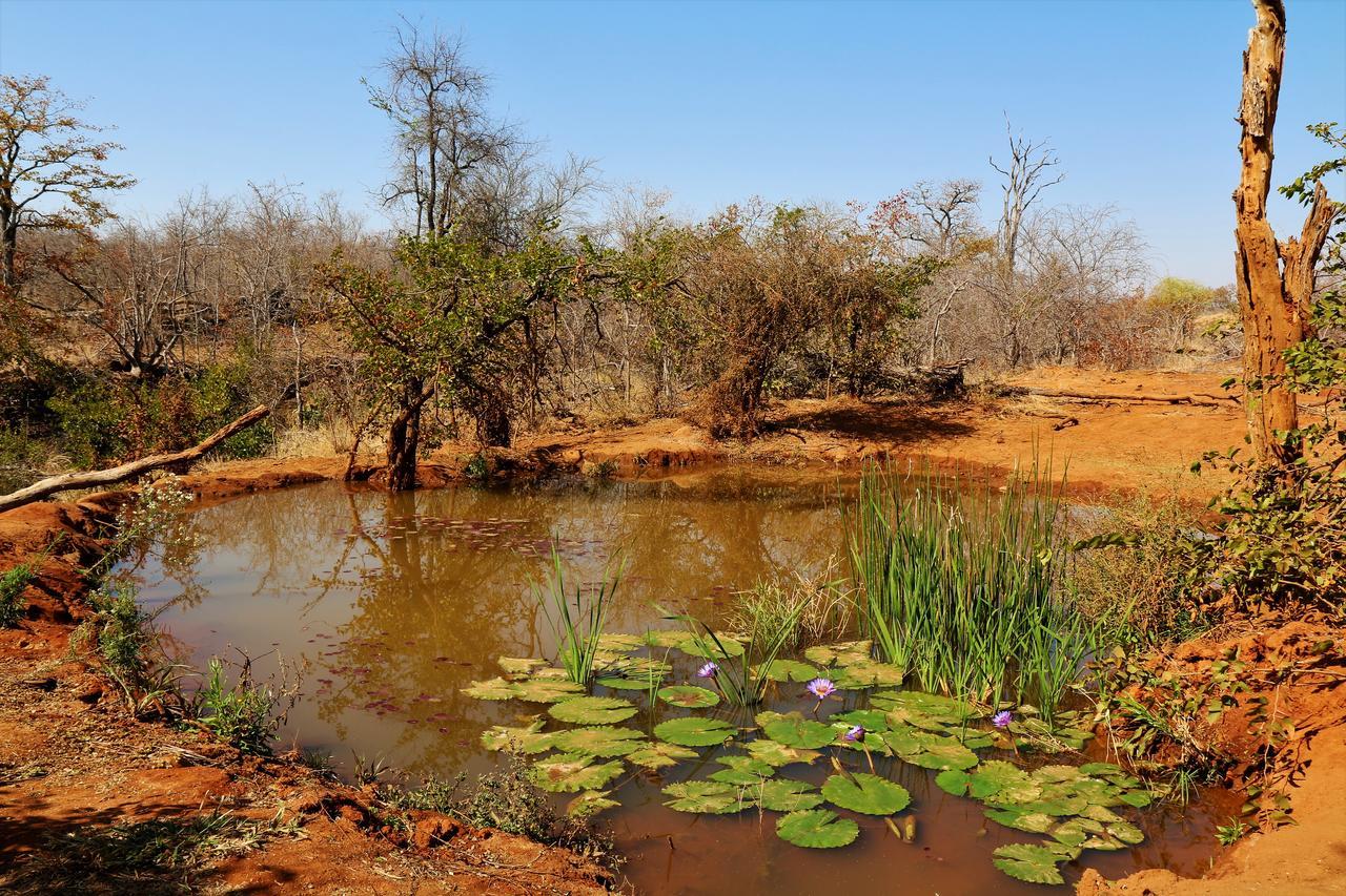 Lions Place Grietjie Game Reserve Exterior photo