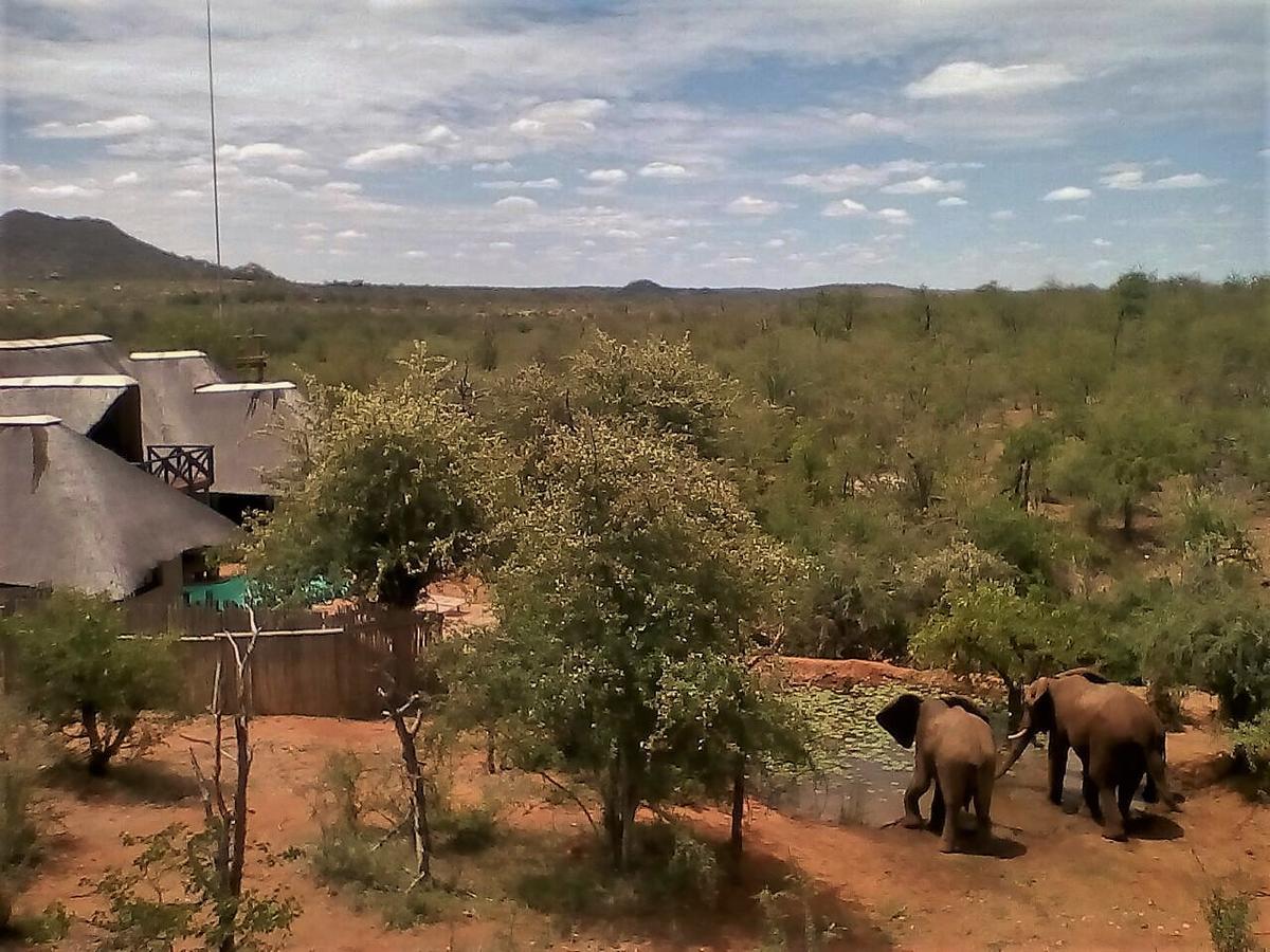 Lions Place Grietjie Game Reserve Exterior photo