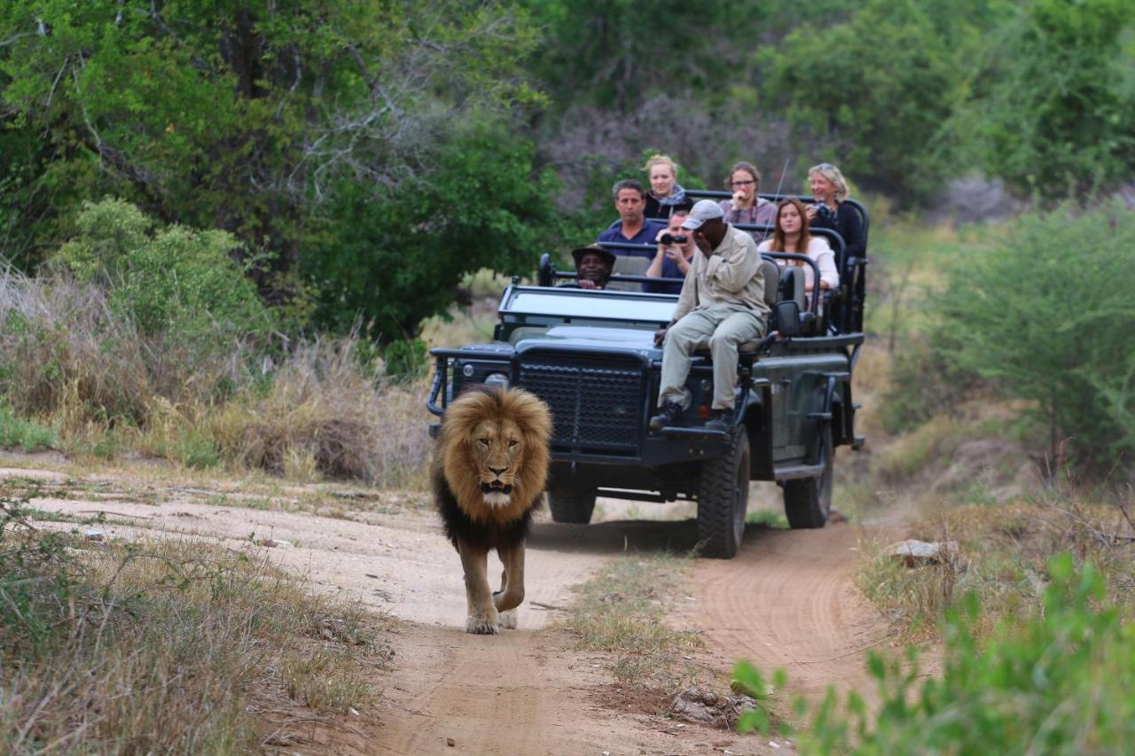Lions Place Grietjie Game Reserve Exterior photo