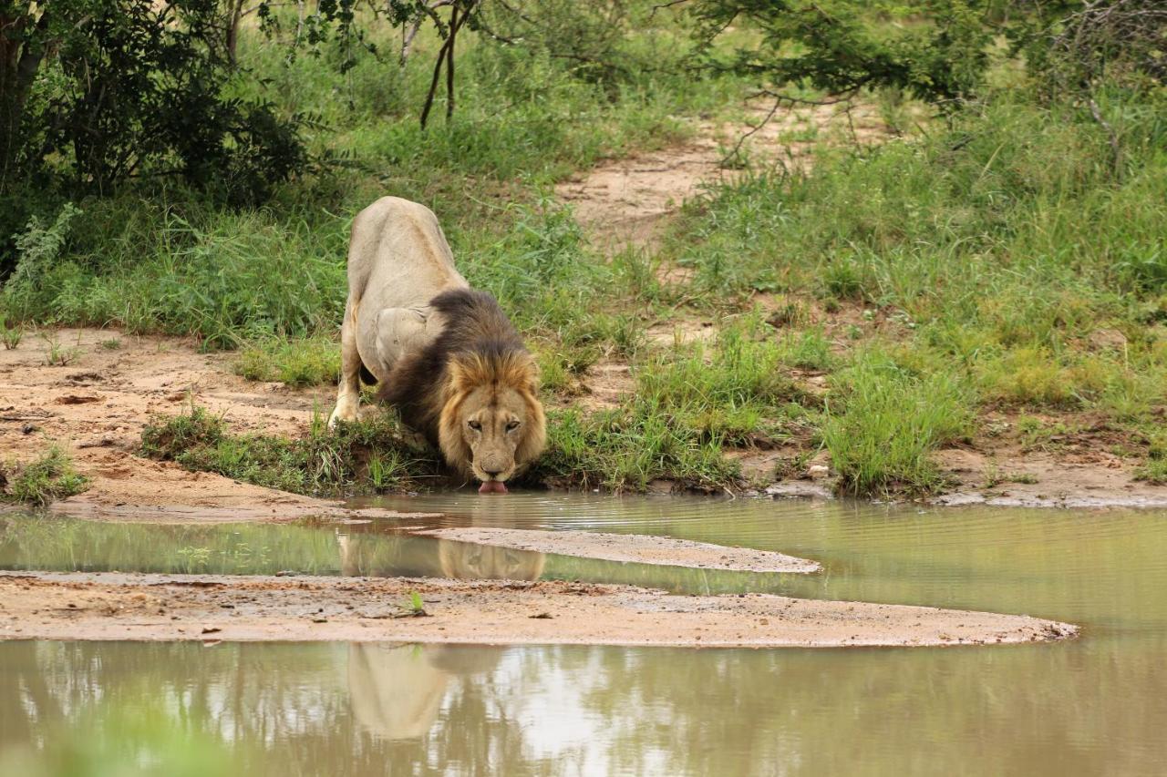 Lions Place Grietjie Game Reserve Exterior photo